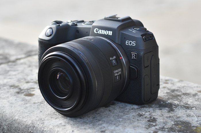 Canon rumored to launch 3 new dslr cameras this year