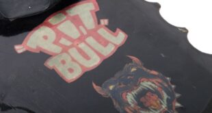 Griffs back to the future 2 pit bull hoverboard on sale for 13k