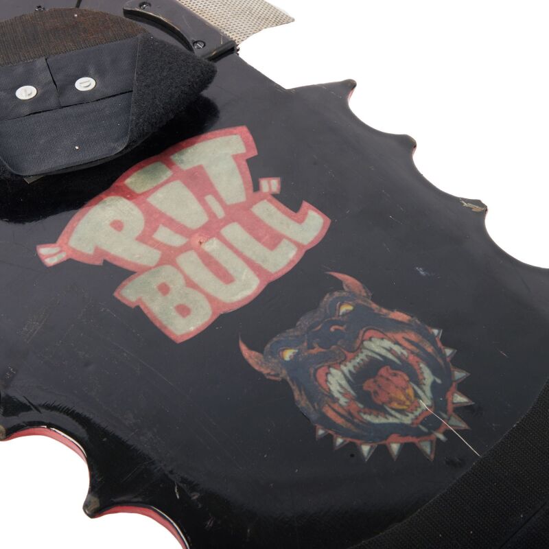 Griffs back to the future 2 pit bull hoverboard on sale for 13k