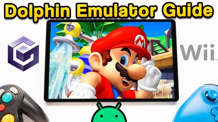 Dolphin nintendo wii gamecube emulator running on android