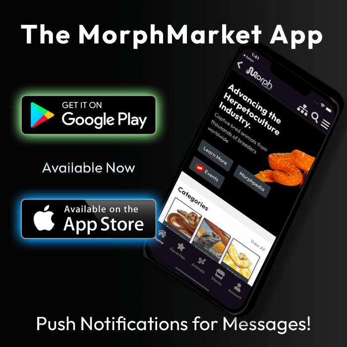 Official tamagotchi app will make its way onto ios and android soon